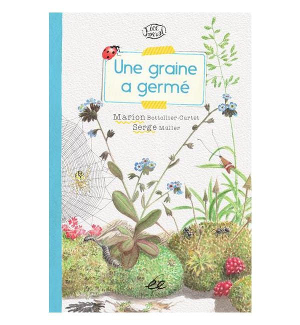 Une graine a germé