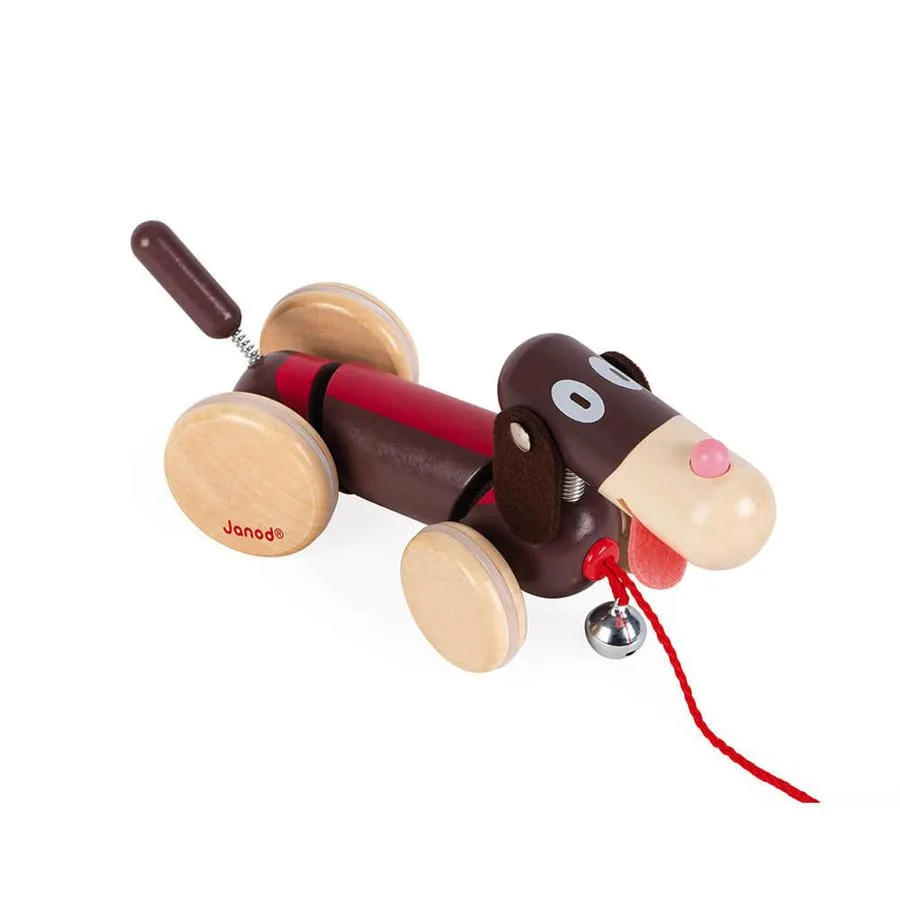 Chien à promener – Image 2