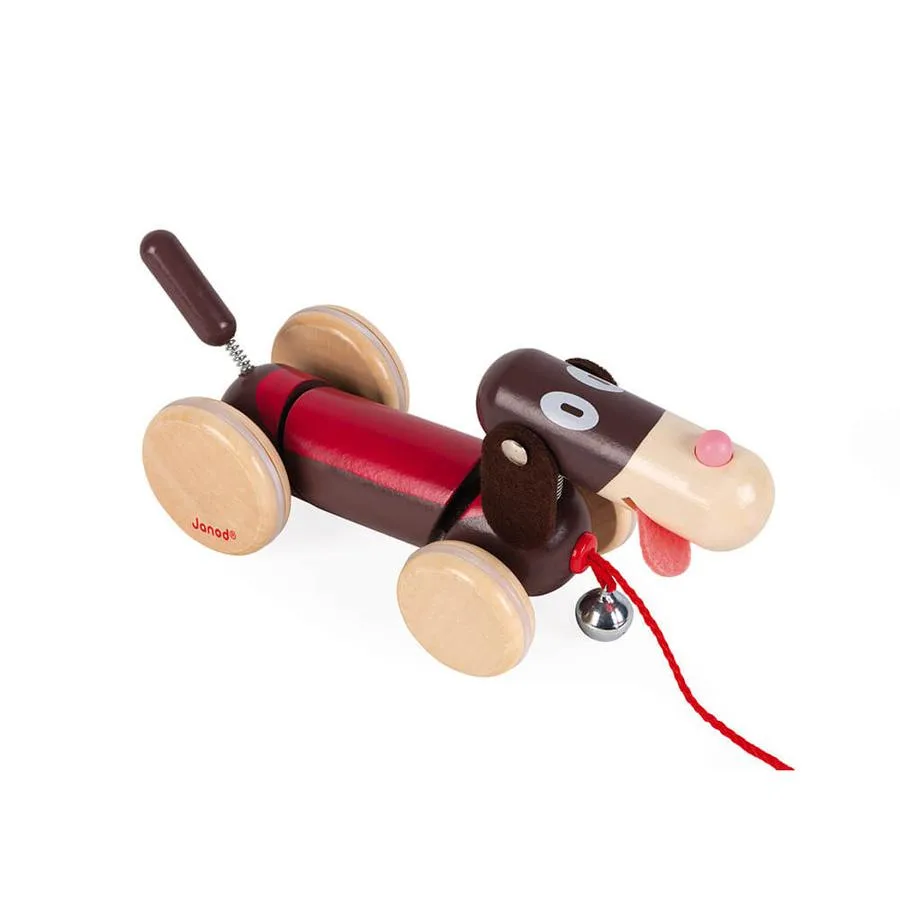 Chien à promener – Image 4