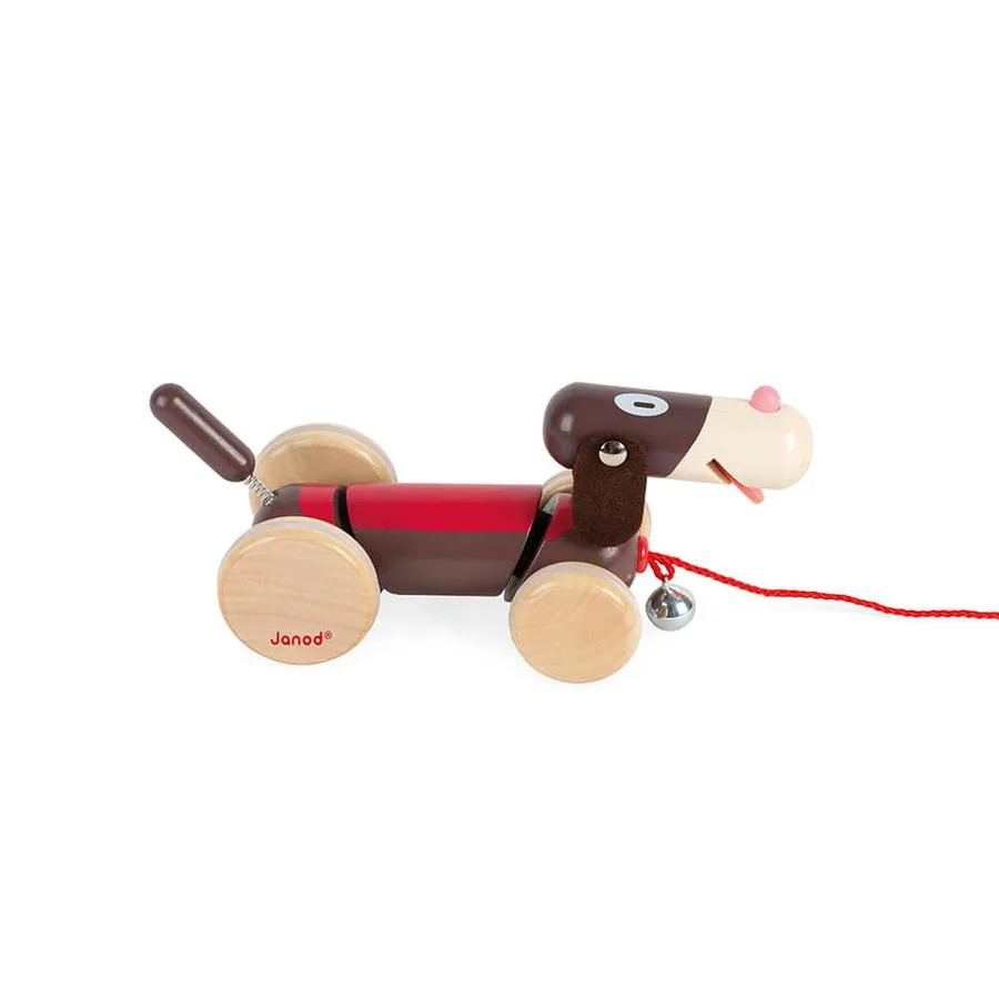 Chien à promener – Image 5