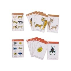 Jeu de 7 familles des espèces Tout autour du monde – Image 3