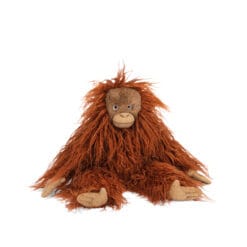 Petit orang-outan Tout autour du monde