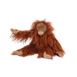 Petit orang-outan Tout autour du monde – Image 2