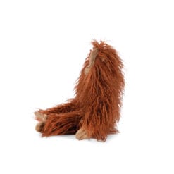 Petit orang-outan Tout autour du monde – Image 3
