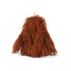 Petit orang-outan Tout autour du monde – Image 4
