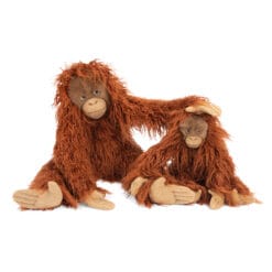 Petit orang-outan Tout autour du monde – Image 5