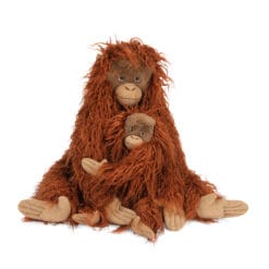 Petit orang-outan Tout autour du monde – Image 6