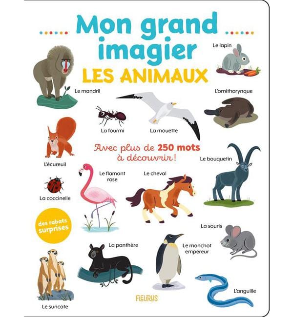 Mon grand imagier - Les animaux