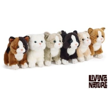 Chat miniature