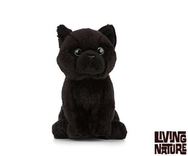Peluche Chaton de Bombay