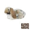 Peluche Lapin Bélier Brun 30 cm