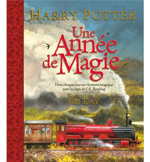 Harry Potter, une année de magie