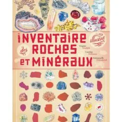 Inventaire illustré des roches et minéraux