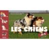 Les chiens de A à Z