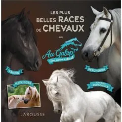 Au galop - Les plus belles races de chevaux