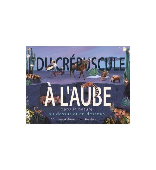 Du crépuscule à l'aube - Au-dessus et en dessous