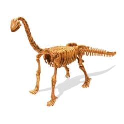 DinoKit Brachiosaurus – Image 3
