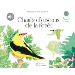 Chants d'oiseaux de la forêt