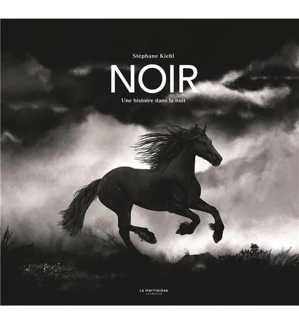 Noir - Une histoire dans la nuit