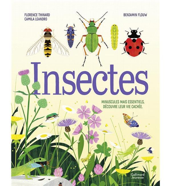 Insectes - Minuscules mais essentiels, découvre leur vie cachée