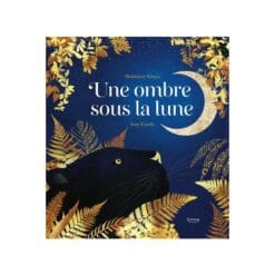 Une ombre sous la lune