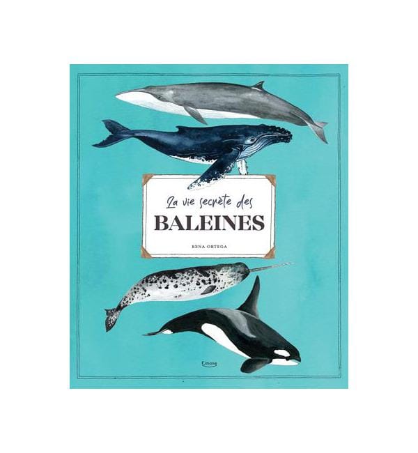 La vie secrète des baleines
