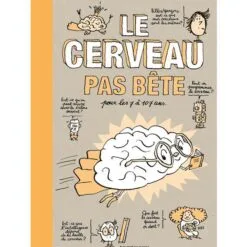 Le cerveau pas bête pour les 7 à 107 ans