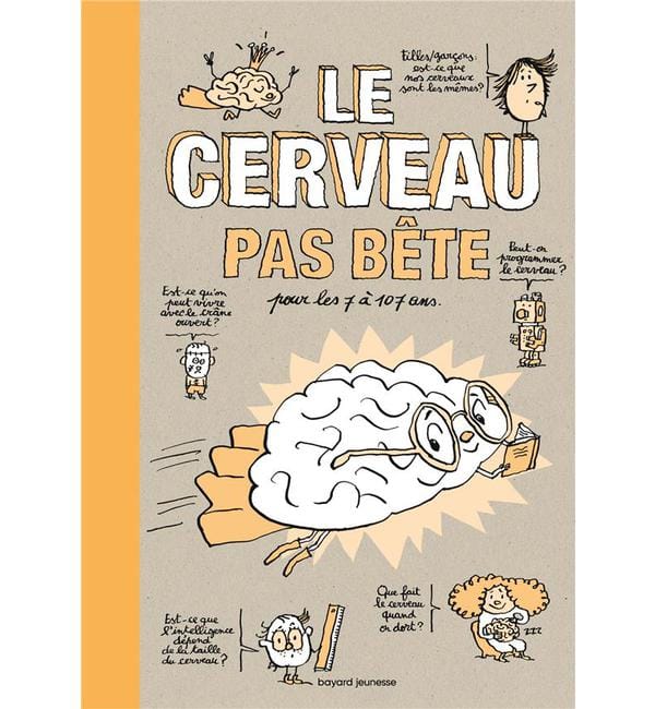Le cerveau pas bête pour les 7 à 107 ans