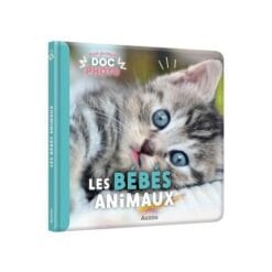 Les bébés animaux