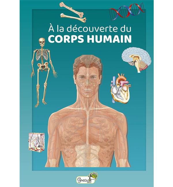 A la découvrte du corps humain