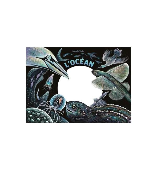 L'océan, une nuit...