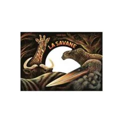 La savane, une nuit...