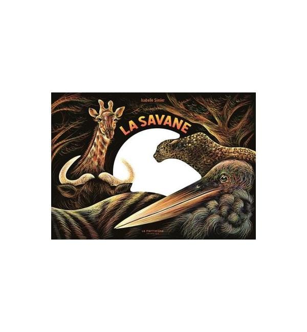 La savane, une nuit...