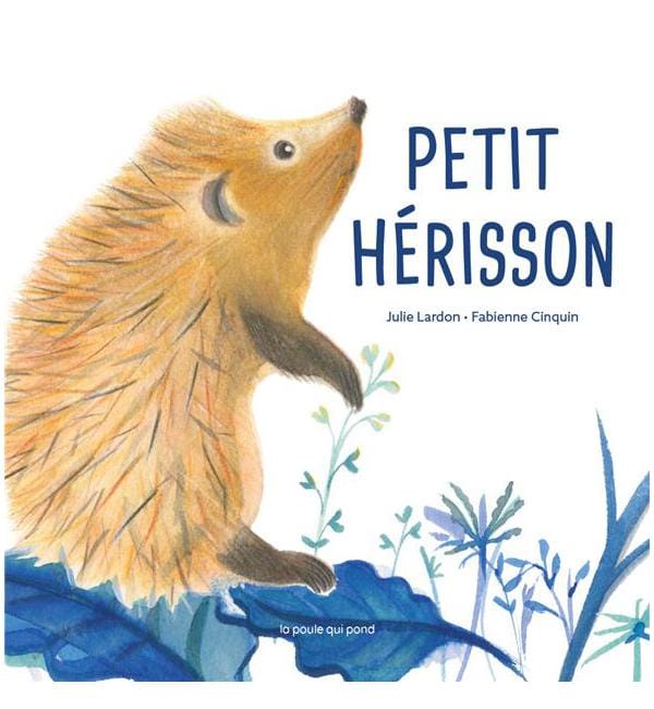 Petit hérisson - -