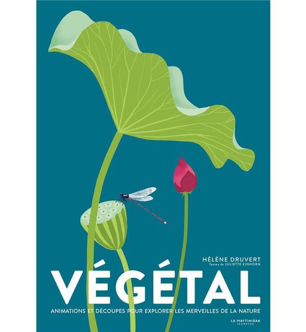 Végétal