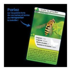 Defis nature - abeilles et autres pollinisateurs – Image 3