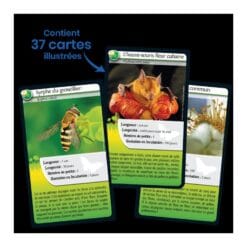 Defis nature - abeilles et autres pollinisateurs – Image 4