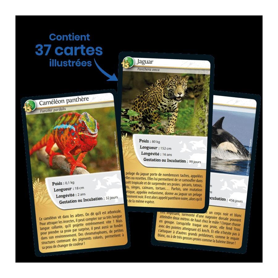 Bioviva Défis Nature – Édition Spéciale Animaux – Jeu De Cartes 2-6 Joueurs – Dès 7 Ans – Fabriqué En France – Éco-conçu