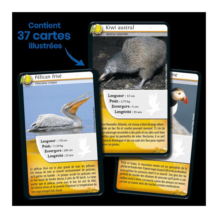 Defis nature - oiseaux – Image 3