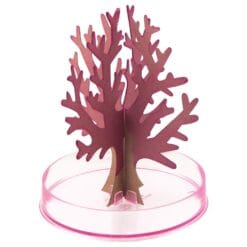 L'arbre magique - Les petites merveilles – Image 3
