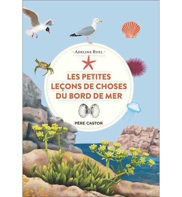 Les petites leçons de choses du bord de mer
