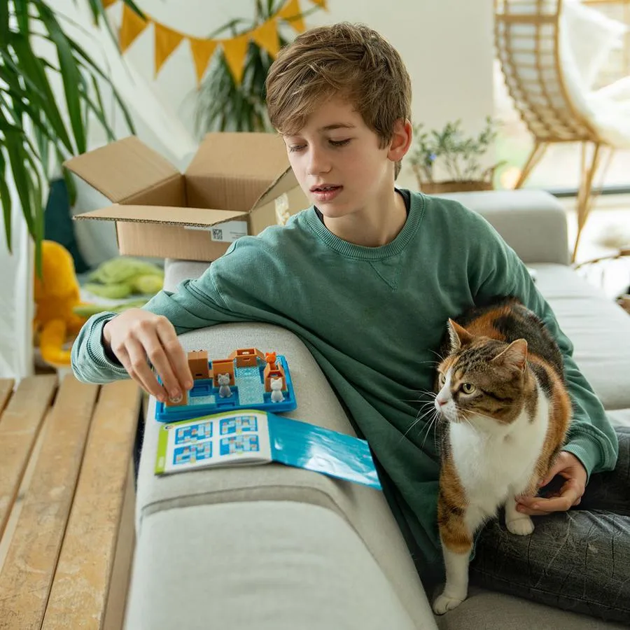 Chats tournent en rond – Image 6