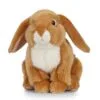 Lapin bélier Brun clair