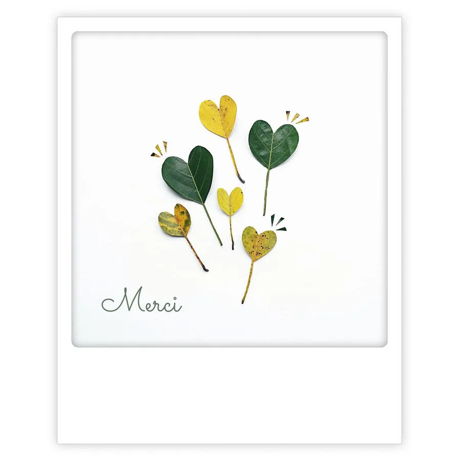 merci