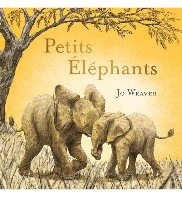 Petits éléphants