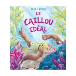 Le caillou idéal