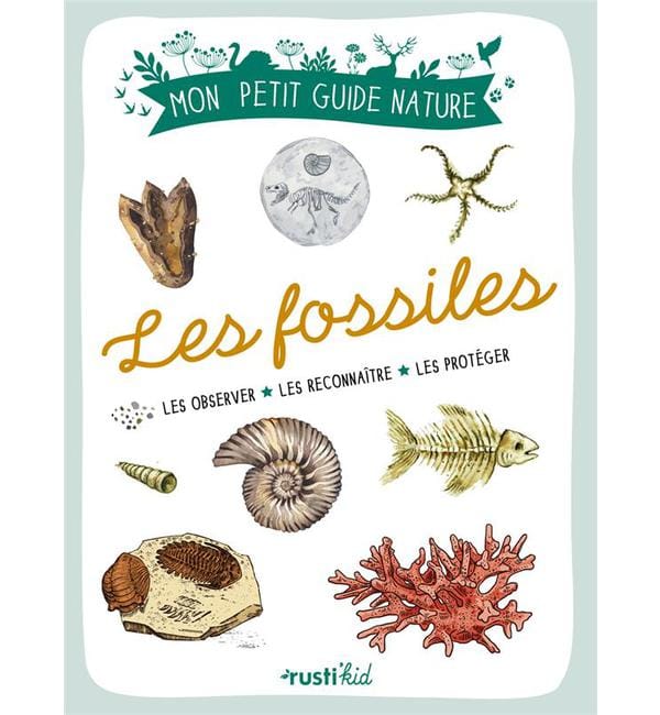 Les fossiles - Les trouver, les identifier, les collectionner