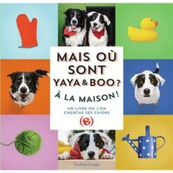 Mais où sont Yaya et Boo ? - A la maison !