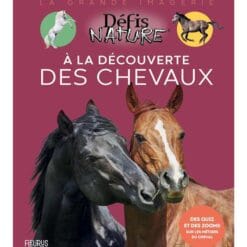 À la découverte des chevaux