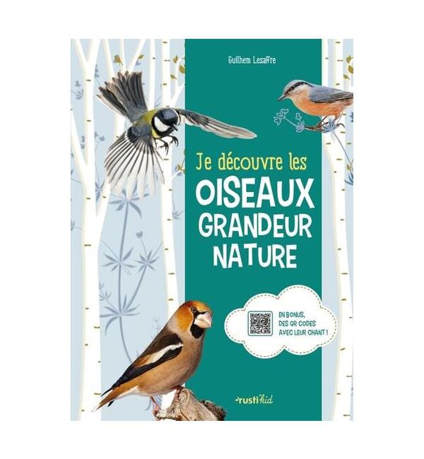 Je découvre les oiseaux grandeur nature